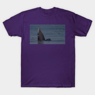 THE FIGHT FOR ANCHOVY T-Shirt